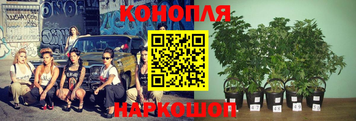 МАРИХУАНА марихуана  Бошки марихуана марихуана  Вход с VPN  Карачаевск  МАРИХУАНА White Widow 